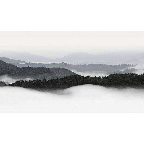 Rolling Fog, Smoky Mountains No. 2 Black Modern Wood Framed Art Print with Double Matting by Bell, Nicholas