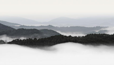 Rolling Fog, Smoky Mountains No. 2 White Modern Wood Framed Art Print with Double Matting by Bell, Nicholas