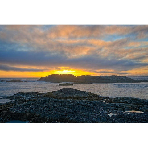 Wickaninnish Sunset Gold Ornate Wood Framed Art Print with Double Matting by Burdick, Chuck
