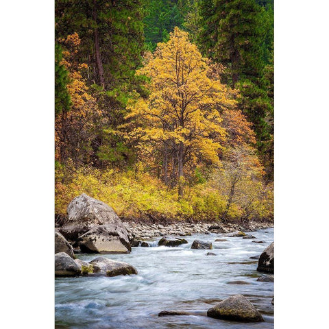 Autumn Across The River White Modern Wood Framed Art Print by Broom, Michael