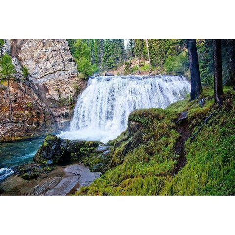 South Fork Falls Gold Ornate Wood Framed Art Print with Double Matting by Broom, Michael
