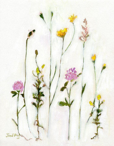 Chamomile-Clover and Dandelion Black Ornate Wood Framed Art Print with Double Matting by Bragg, Janel