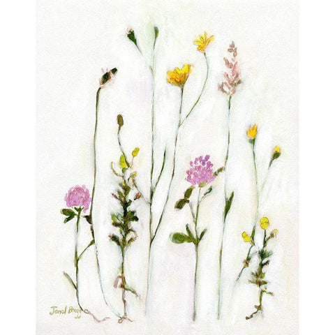 Chamomile-Clover and Dandelion White Modern Wood Framed Art Print by Bragg, Janel