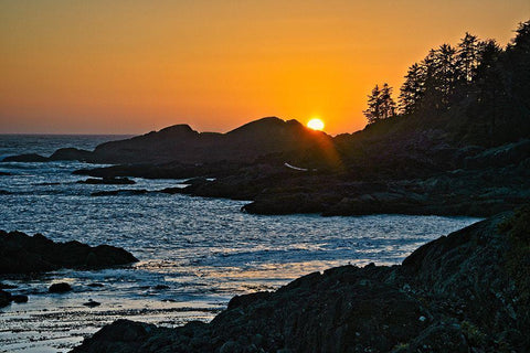 Last Peek White Modern Wood Framed Art Print with Double Matting by Burdick, Chuck