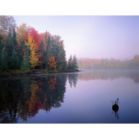 Foggy Morning Sunrise Gold Ornate Wood Framed Art Print with Double Matting by Becia, Jim