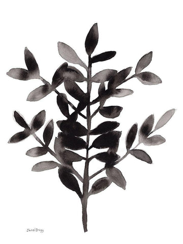 Botanical with Nagi Fern No. 3 Black Ornate Wood Framed Art Print with Double Matting by Bragg, Janel