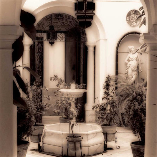 Image Only