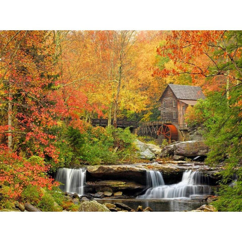 Autumn Splendor Black Modern Wood Framed Art Print with Double Matting by Carmel, Elizabeth