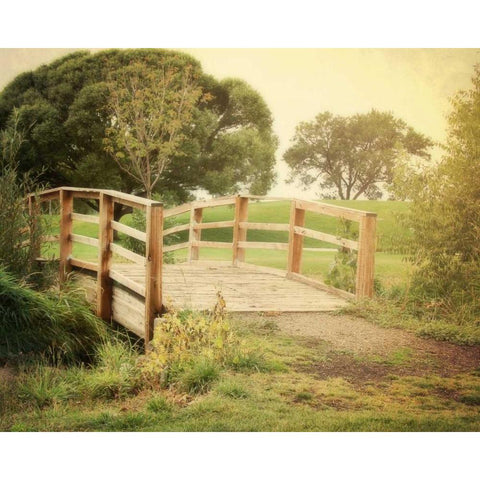 Sunday Stroll Black Modern Wood Framed Art Print by Coomes, Sylvia