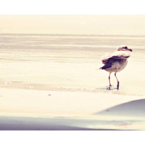 Bird at The Beach Black Modern Wood Framed Art Print by Coomes, Sylvia