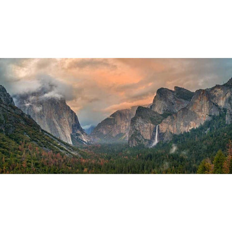 Heaven and Earth Black Modern Wood Framed Art Print by Carmel, Elizabeth