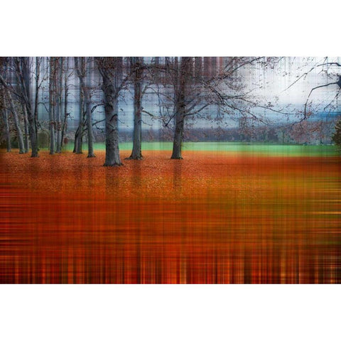 Abstract Autumn Black Modern Wood Framed Art Print with Double Matting by Cmarits, Hannes