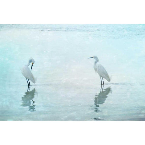 White Cranes Black Modern Wood Framed Art Print with Double Matting by Cmarits, Hannes