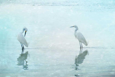 White Cranes White Modern Wood Framed Art Print with Double Matting by Cmarits, Hannes