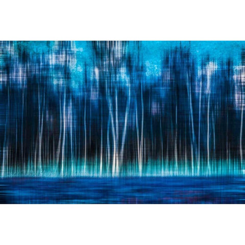 Mystic Forest Black Modern Wood Framed Art Print with Double Matting by Cmarits, Hannes