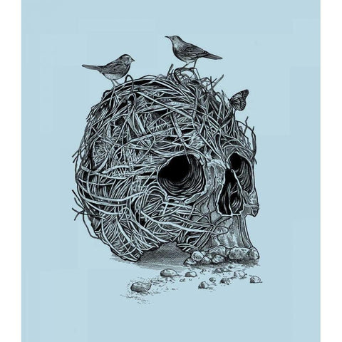 Skull Nest White Modern Wood Framed Art Print by Caldwell, Rachel