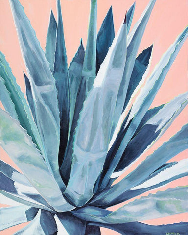 Agave with Coral White Modern Wood Framed Art Print with Double Matting by Clumeck, Alana