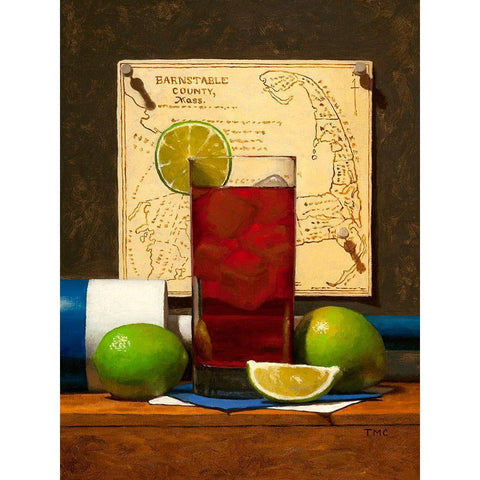 Cape Codder White Modern Wood Framed Art Print by Casey, Todd M.