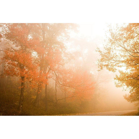 Beyond The Fog Black Modern Wood Framed Art Print with Double Matting by Connolly, Karin