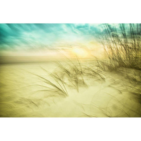 Delightful No. 1 White Modern Wood Framed Art Print by Connolly, Karin