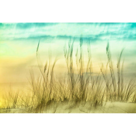 Delightful No. 2 Black Modern Wood Framed Art Print with Double Matting by Connolly, Karin