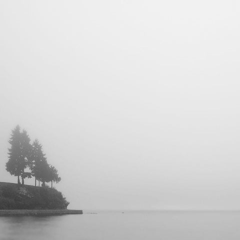 Foggy Coast 1 White Modern Wood Framed Art Print by Colligan, Lynann