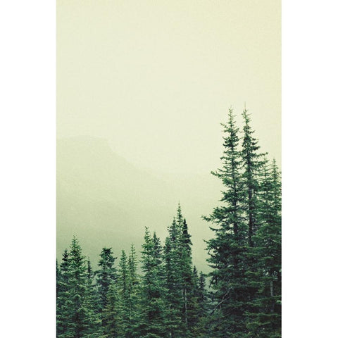 Rocky Mountain 6 Black Modern Wood Framed Art Print with Double Matting by Colligan, Lynann