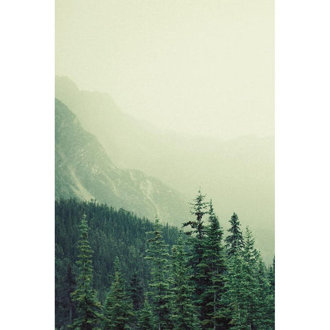 Rocky Mountain 7 Black Modern Wood Framed Art Print with Double Matting by Colligan, Lynann