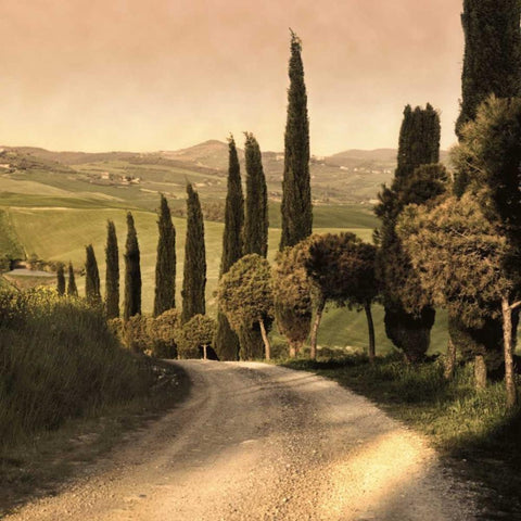 Country Lane Tuscany Gold Ornate Wood Framed Art Print with Double Matting by Carmel, Elizabeth