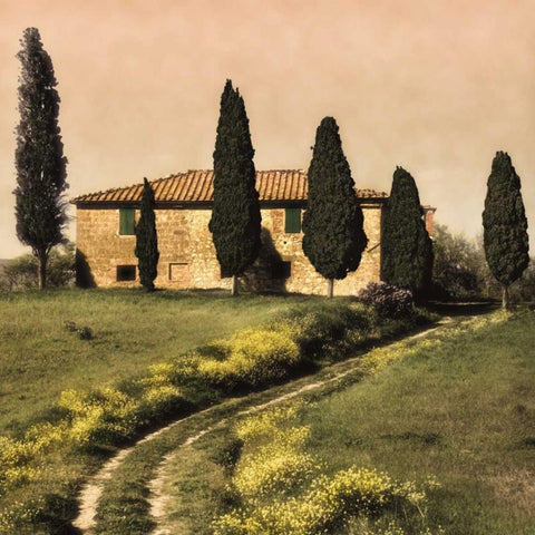Tuscan Farmhouse White Modern Wood Framed Art Print by Carmel, Elizabeth
