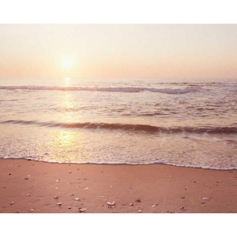 A New Beginning White Modern Wood Framed Art Print by Cochrane, Carolyn
