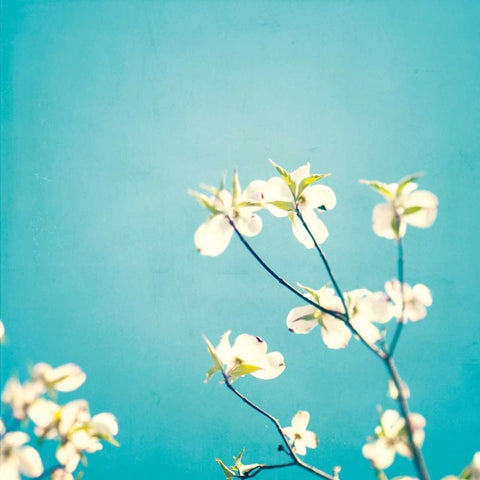 Delicate White Modern Wood Framed Art Print with Double Matting by Cochrane, Carolyn