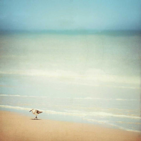 Get Your Feet Wet Black Modern Wood Framed Art Print by Cochrane, Carolyn