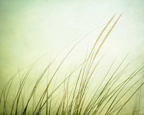 Just Breathe White Modern Wood Framed Art Print with Double Matting by Cochrane, Carolyn