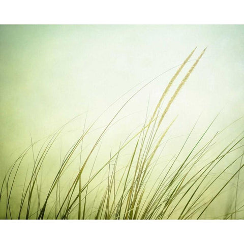 Just Breathe Black Modern Wood Framed Art Print with Double Matting by Cochrane, Carolyn