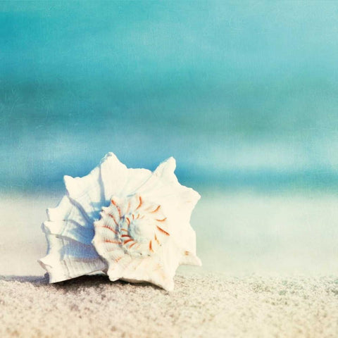 Paradise White Modern Wood Framed Art Print with Double Matting by Cochrane, Carolyn