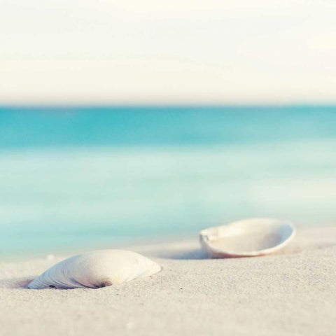 Serenity Black Modern Wood Framed Art Print with Double Matting by Cochrane, Carolyn