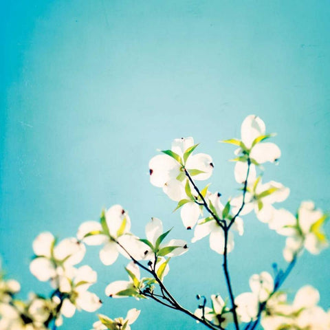 Skies of Blue White Modern Wood Framed Art Print by Cochrane, Carolyn