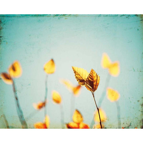 Sundance Gold Ornate Wood Framed Art Print with Double Matting by Cochrane, Carolyn