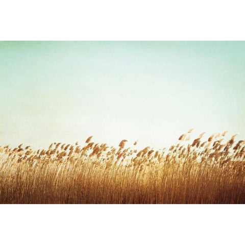 Swaying Black Modern Wood Framed Art Print by Cochrane, Carolyn