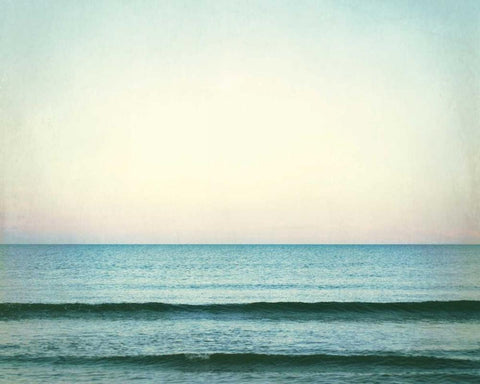 The Distant Horizon Black Ornate Wood Framed Art Print with Double Matting by Cochrane, Carolyn