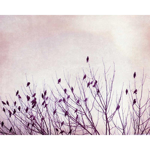 The Pause that Refreshes White Modern Wood Framed Art Print by Cochrane, Carolyn