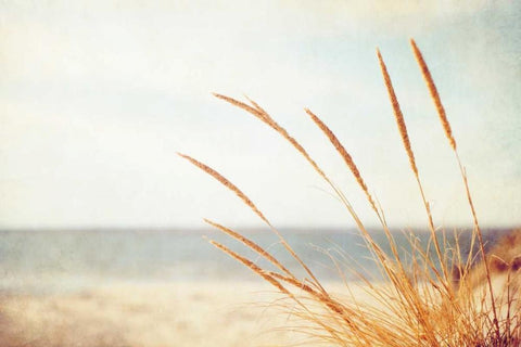Warm Breeze White Modern Wood Framed Art Print with Double Matting by Cochrane, Carolyn