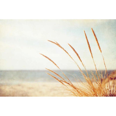Warm Breeze Black Modern Wood Framed Art Print with Double Matting by Cochrane, Carolyn