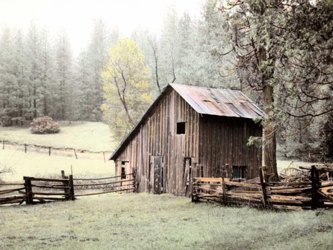 Barn near Sonora Black Ornate Wood Framed Art Print with Double Matting by Culver, Laura