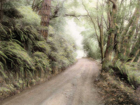 Lost Coast Road Black Ornate Wood Framed Art Print with Double Matting by Culver, Laura