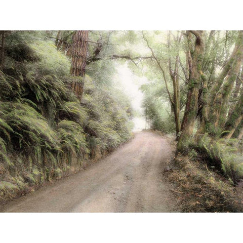 Lost Coast Road Black Modern Wood Framed Art Print by Culver, Laura