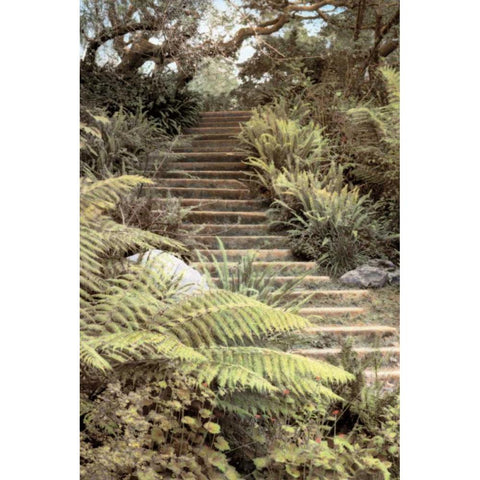 Secret Steps Black Modern Wood Framed Art Print with Double Matting by Culver, Laura