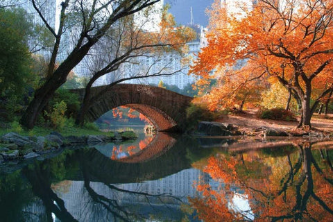 Gapstow Bridge Fall White Modern Wood Framed Art Print with Double Matting by Chen, Michael