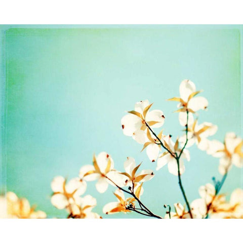 Blossoms Adrift Black Modern Wood Framed Art Print with Double Matting by Cochrane, Carolyn